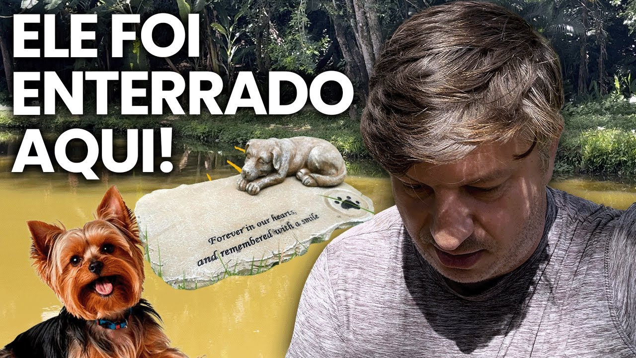 Voltei a Cambuí… esse lugar guarda uma parte da minha história | VLOG 2