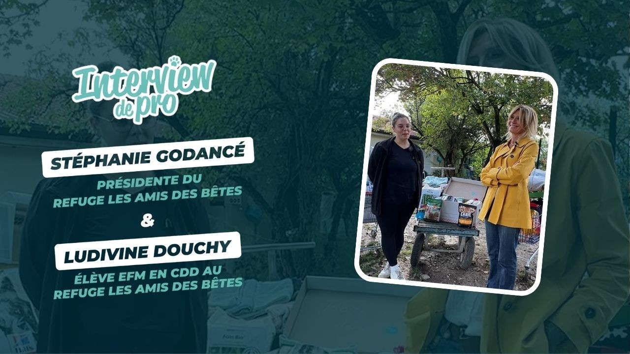 Interview - Travailler dans un refuge animalier 🐾​