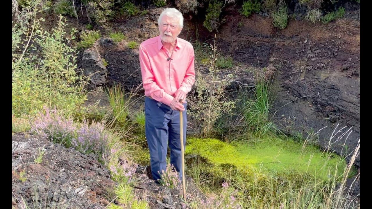 Duckweed with John Feehan