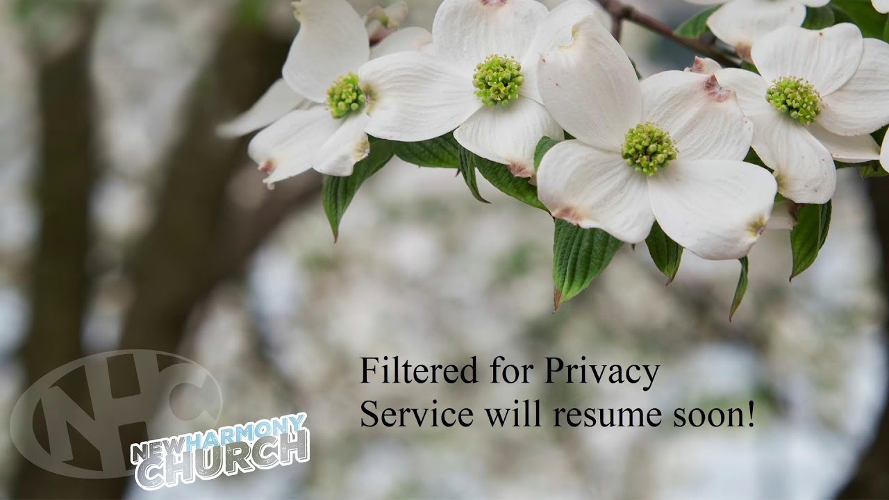 Wednesday, February 11, 2026 | New Harmony Church