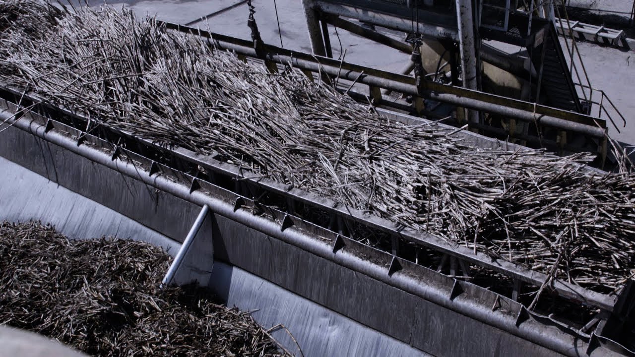 Sugarcane Biomass for Electricity Production in Guatemala, a Bless and a Curse
