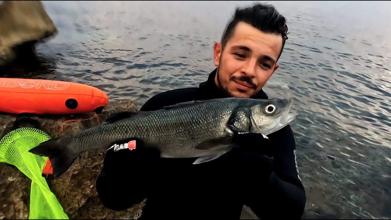 Una Spigola fuori onda! - TRICASE PORTO (LE) - 2022.06.23