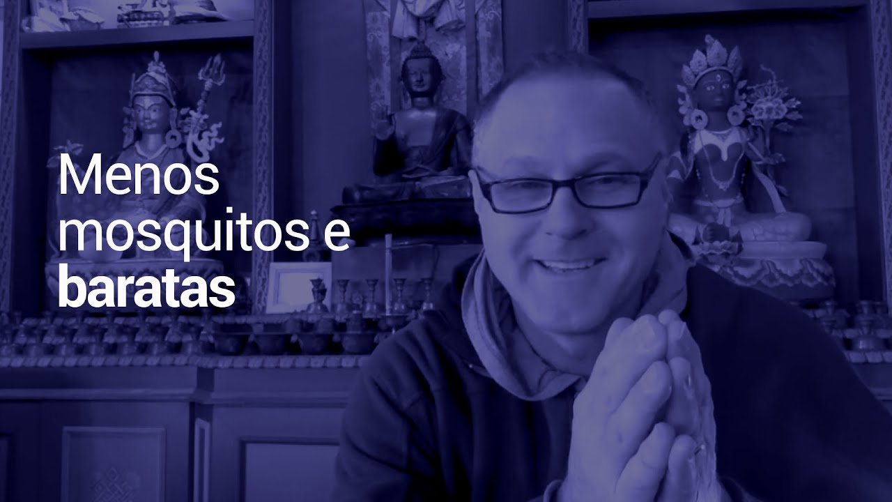 Menos mosquitos e baratas