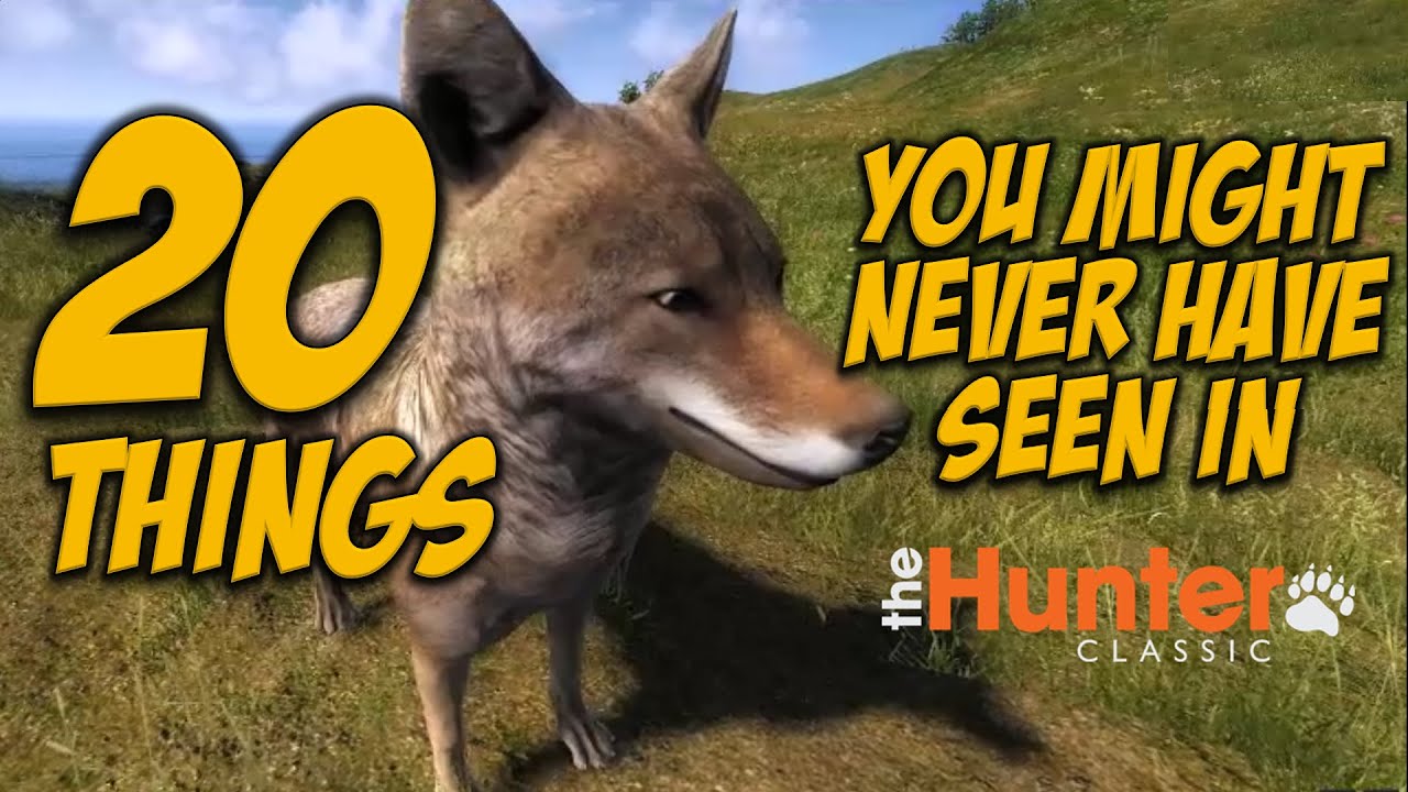 20 Things you might never have seen in theHunter Classic