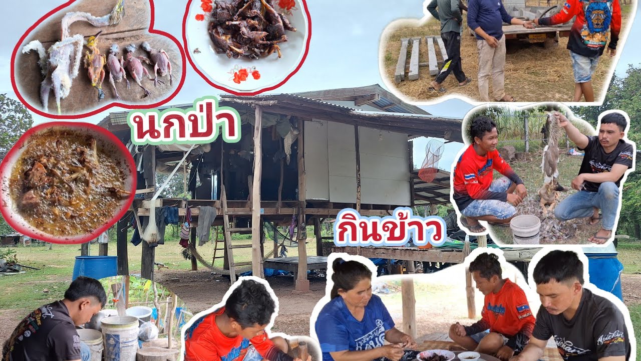 ทำอาหารกินเที่ยงกับสีมอญ เมนูสัตว์ป่า 16 พฤศจิกายน ค.ศ. 2025