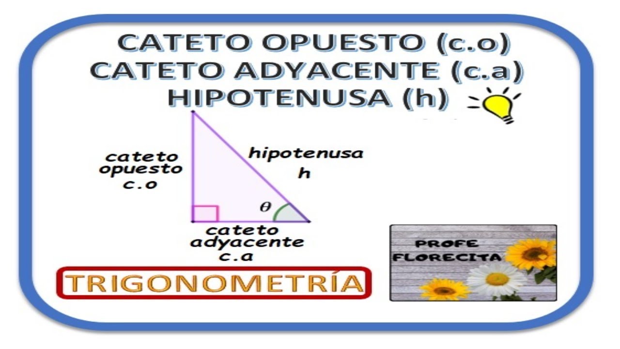 ✅ &iquest;C&Oacute;MO IDENTIFICAR EL CATETO OPUESTO, CATETO ADYACENTE Y LA HIPOTENUSA EN UN TRI&Aacute;NGULO RECT&Aacute;NGULO?🌻