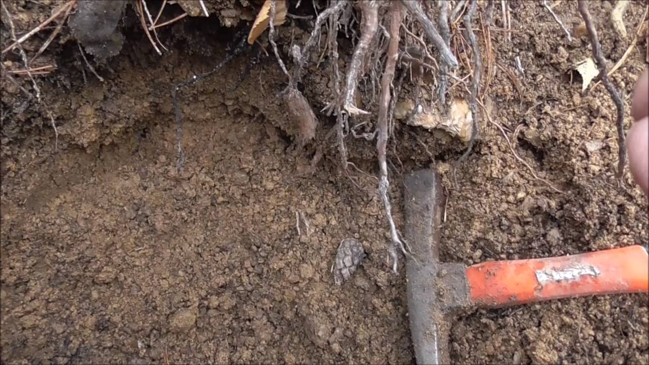 ХРУСТАЛЬНАЯ ГОРКА