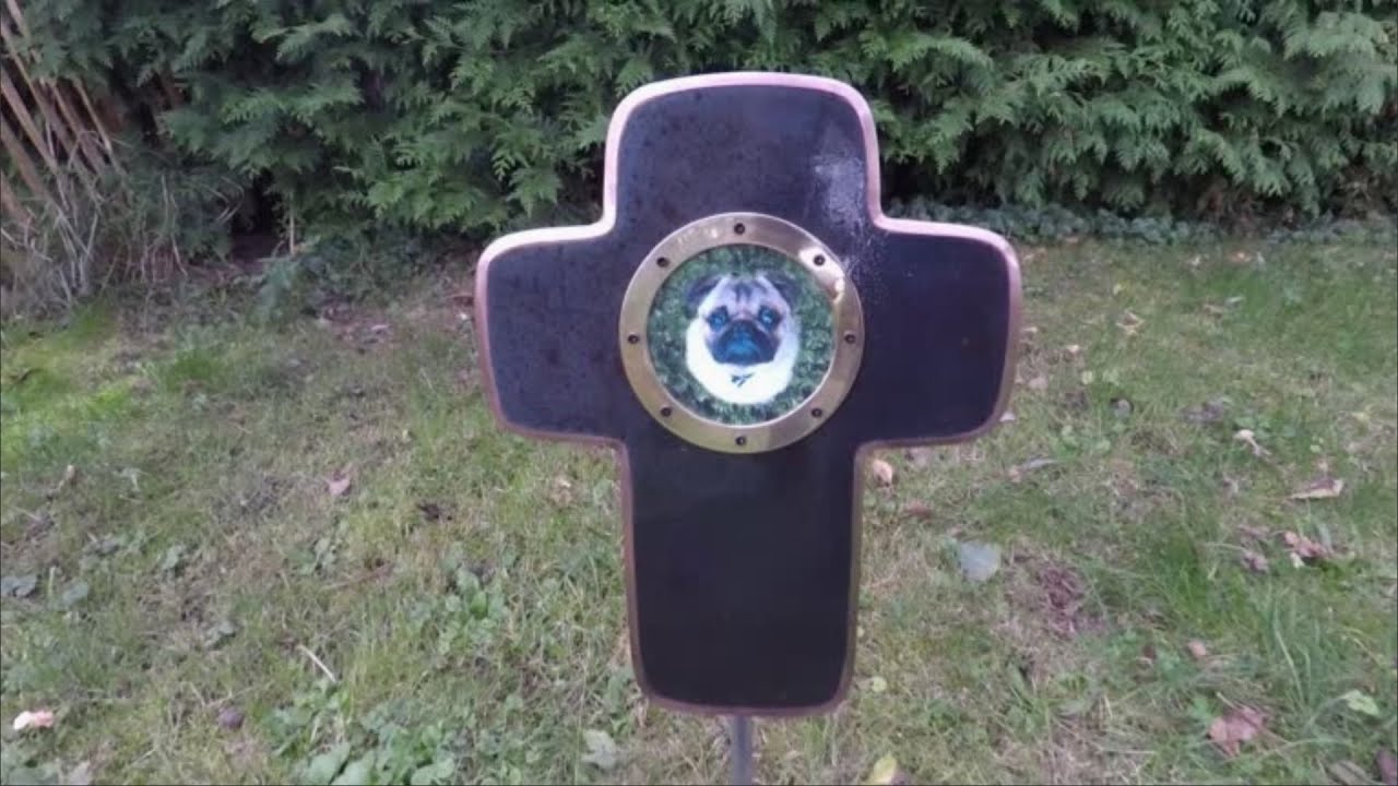 Nachruf. Mein Freund Mops Larry ist leider verstorben. In Gedenken an Ihm hier ein paar Videos.