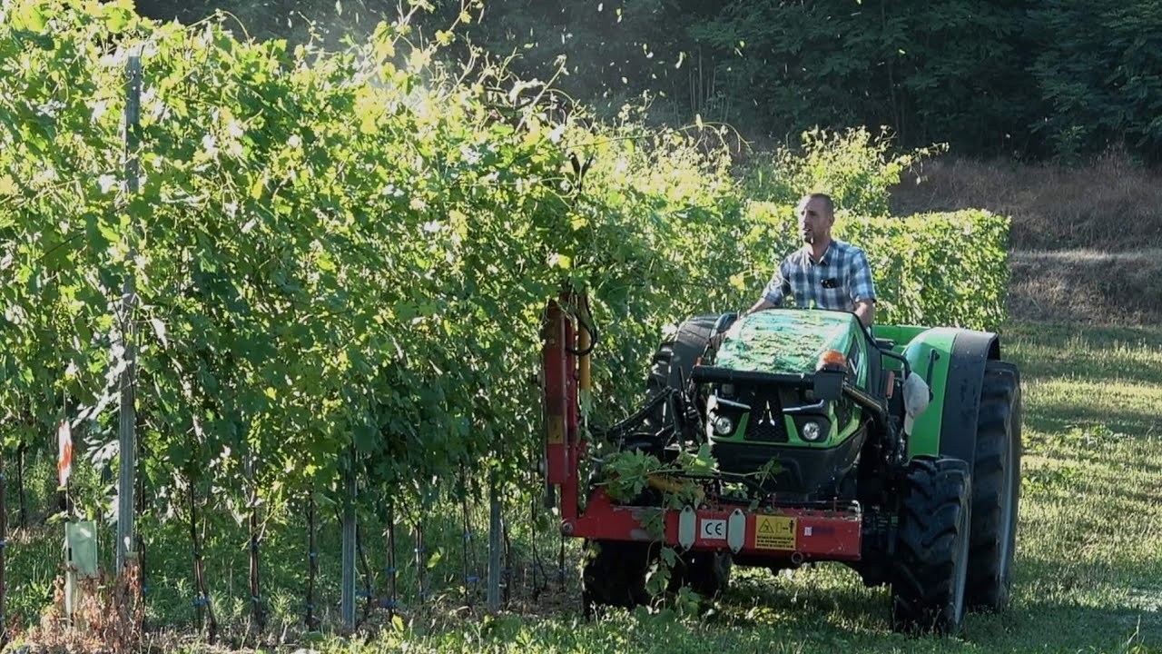 Deutz-Farh 5105 DF GS | BMV S500 4+1