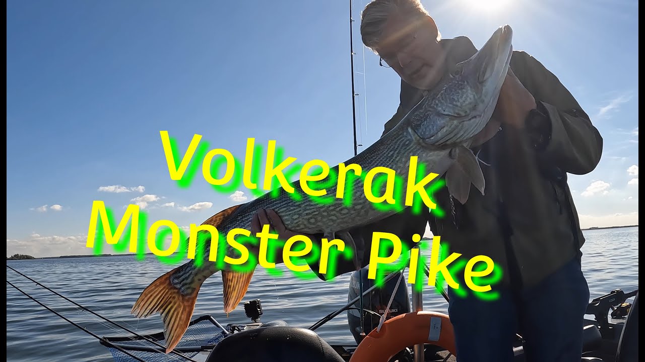 Volkerak Monster Pike