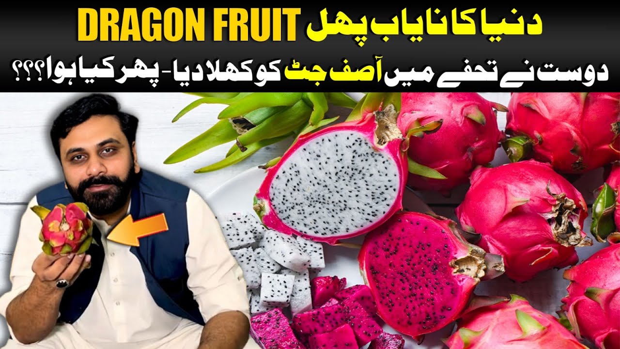 Dragon Fruit In Pakistan || Benefits Of Dragon Fruit || Asif Jatt