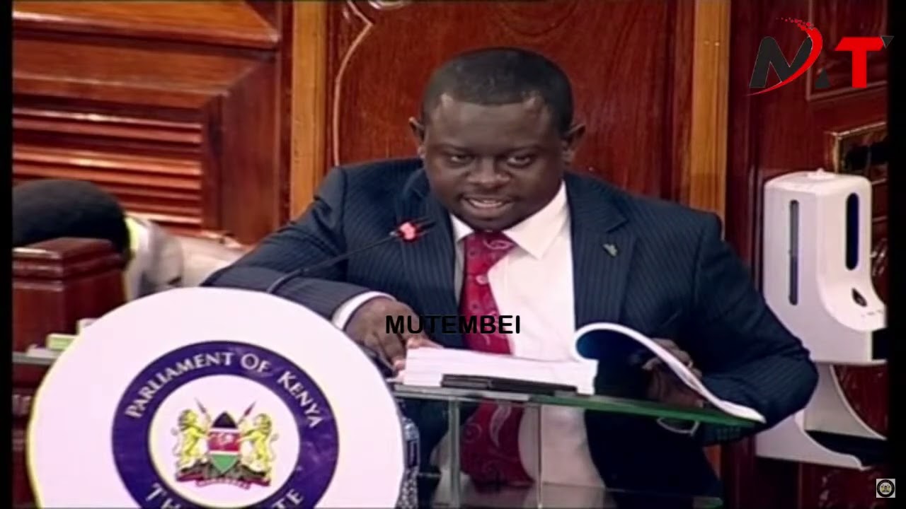 Listen to Kawira Mwangaza Witness Destroy MCAs Evidence in Senate!