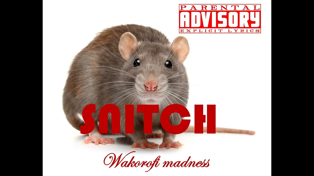 Wakorofi Madness - Snitch (Official Music Audio)