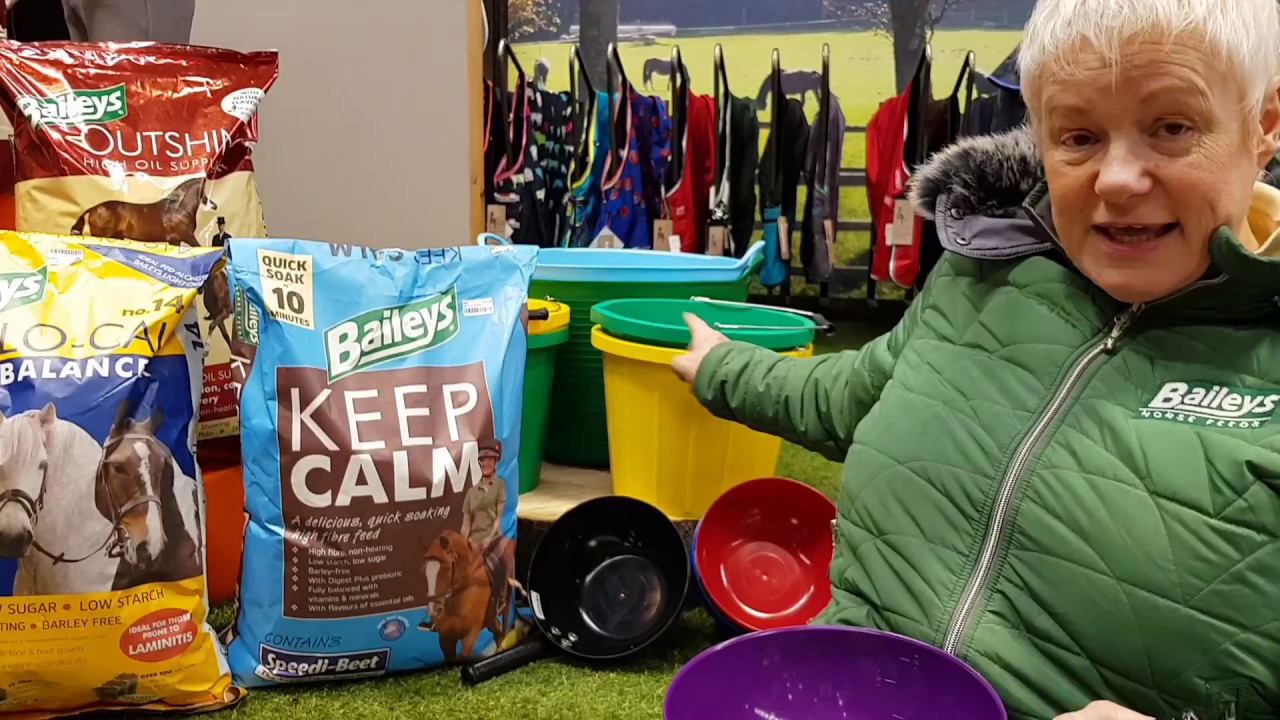 How to get your horse to lose weight | Baileys Horse Feeds