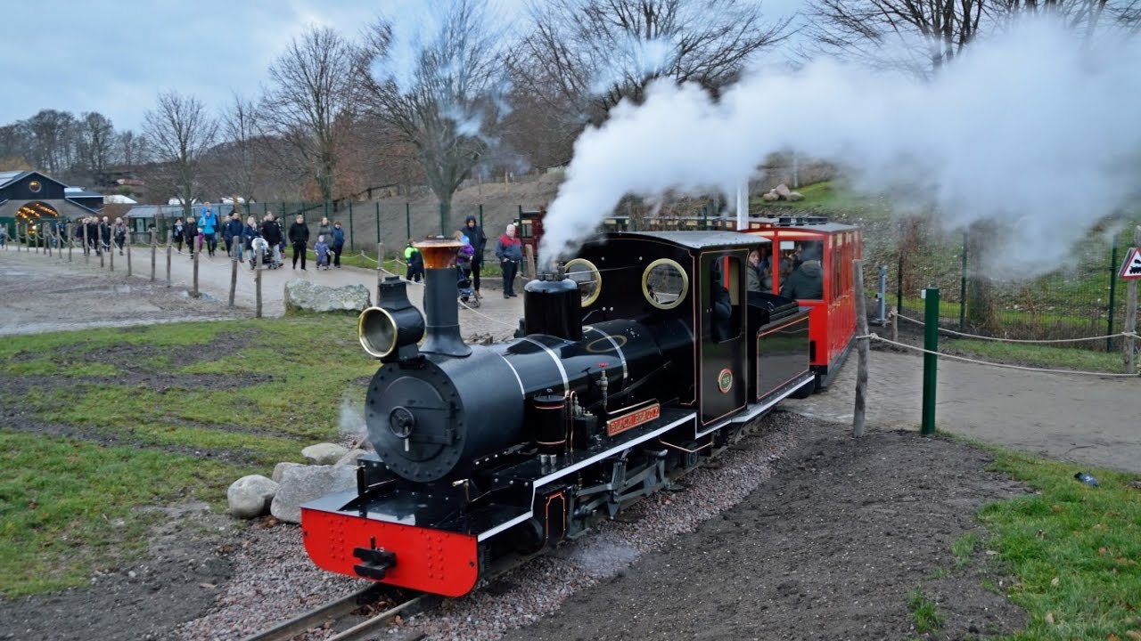 Black Beauty i Ree Park