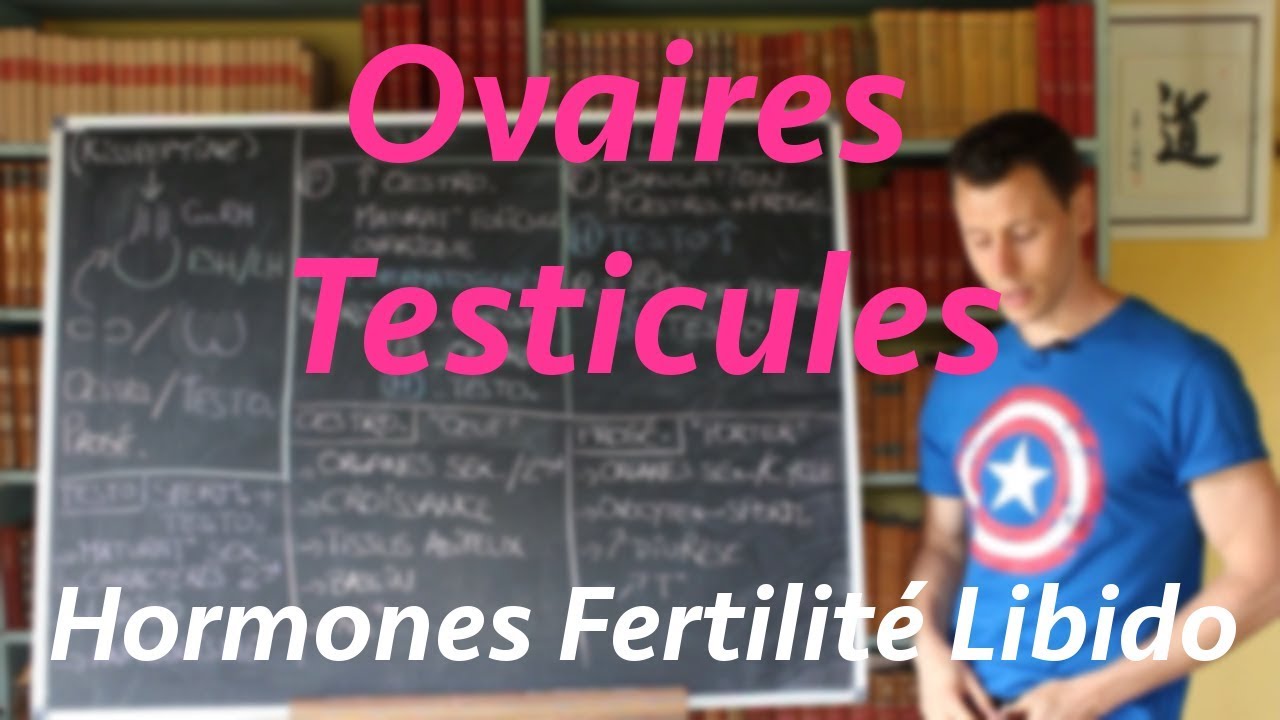Ovaires et testicules: Système Endocrinien S01 épisode final