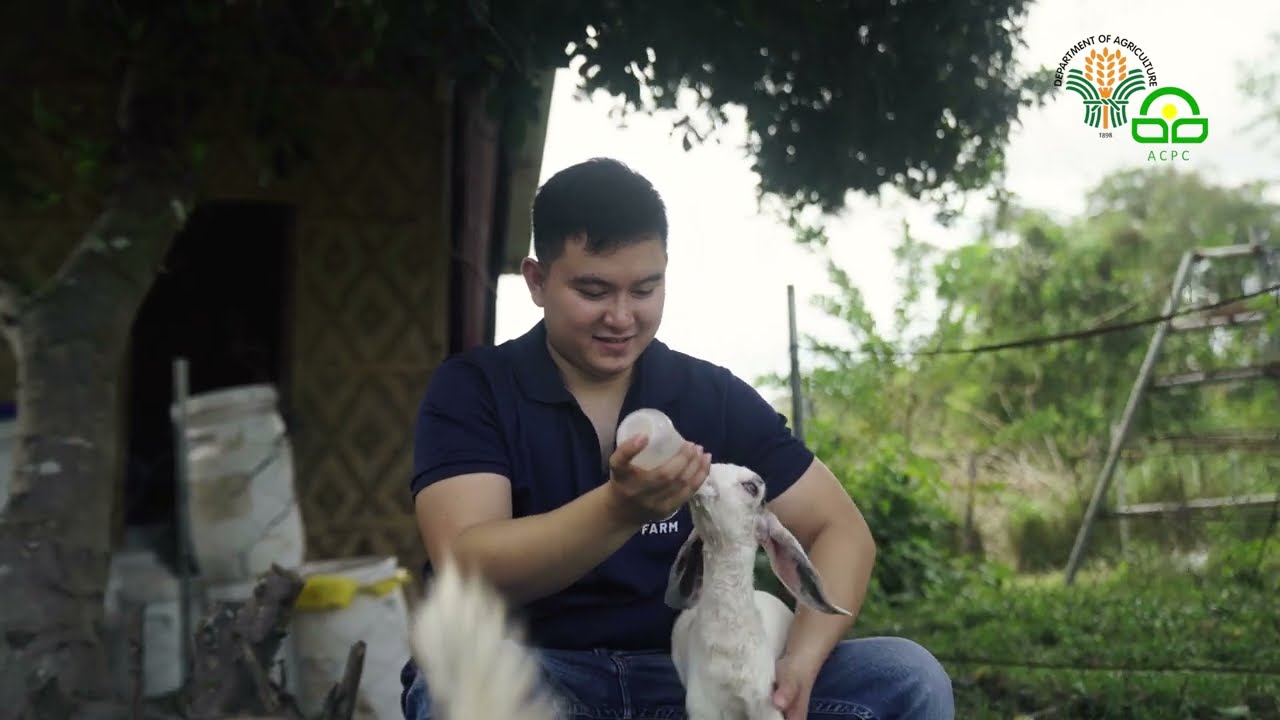 Young Agripreneur expands goat farm through ACPC loan #KuwentongACPC