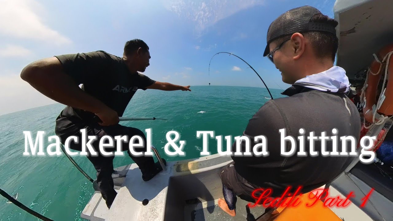 [Fishing Ep6-Sedili part 1] Good weather, good captain, and most importantly fish is biting!