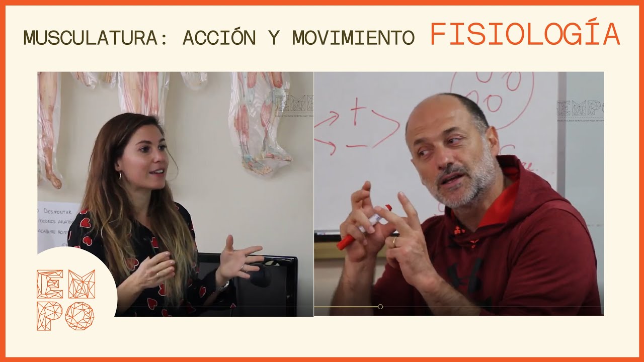 FISIOLOGÍA - Musculatura: acción y movimiento