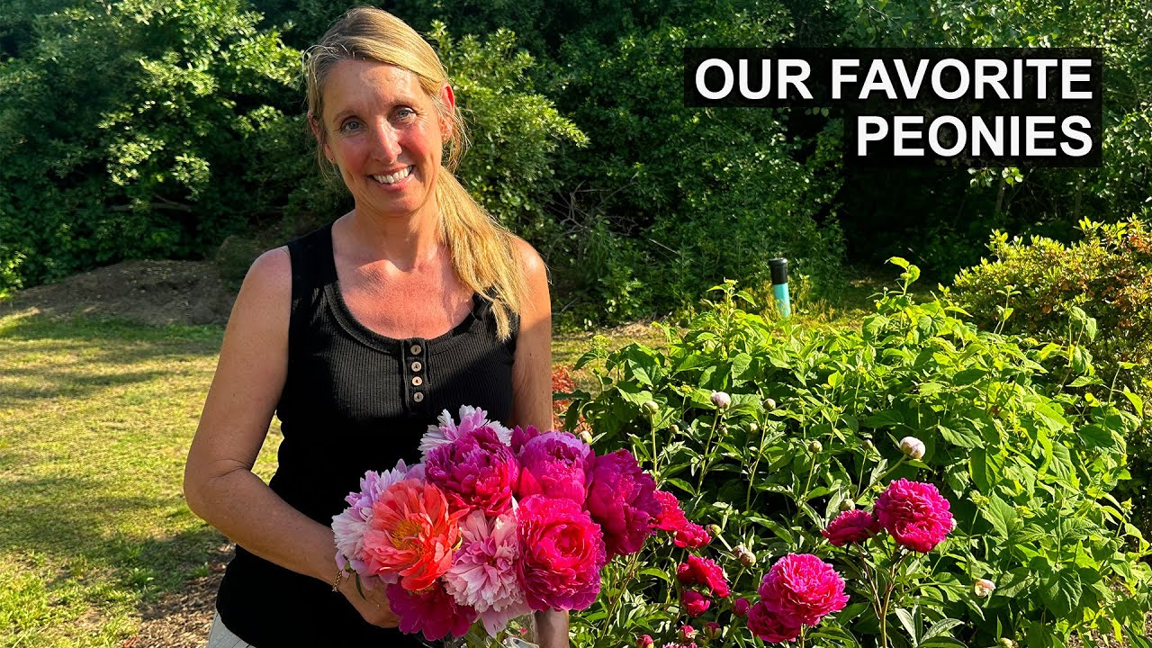 The Best Peony Varieties for Your Garden