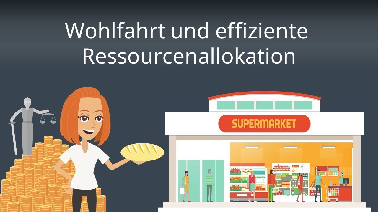 Ökonomische Wohlfahrt und Ressourcenallokation - Wohlfahrtstheorie einfach erklärt