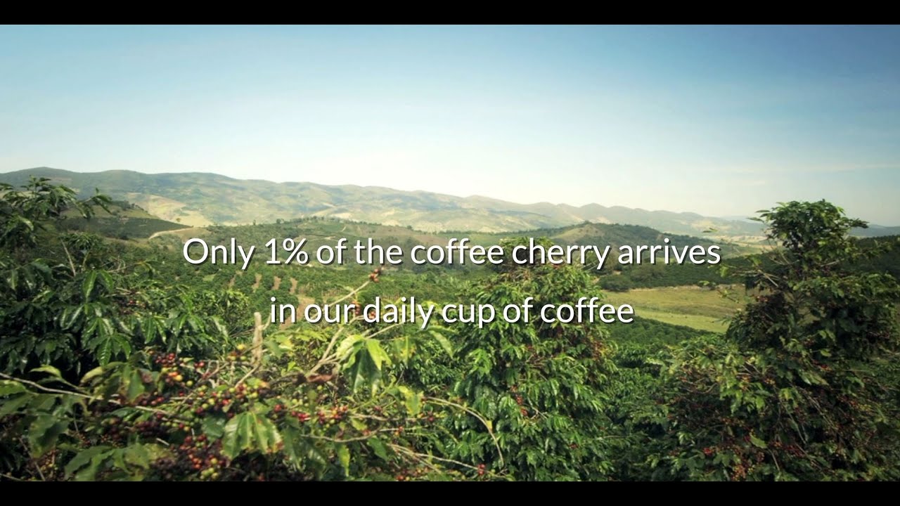 Center for Circular Economy in Coffee