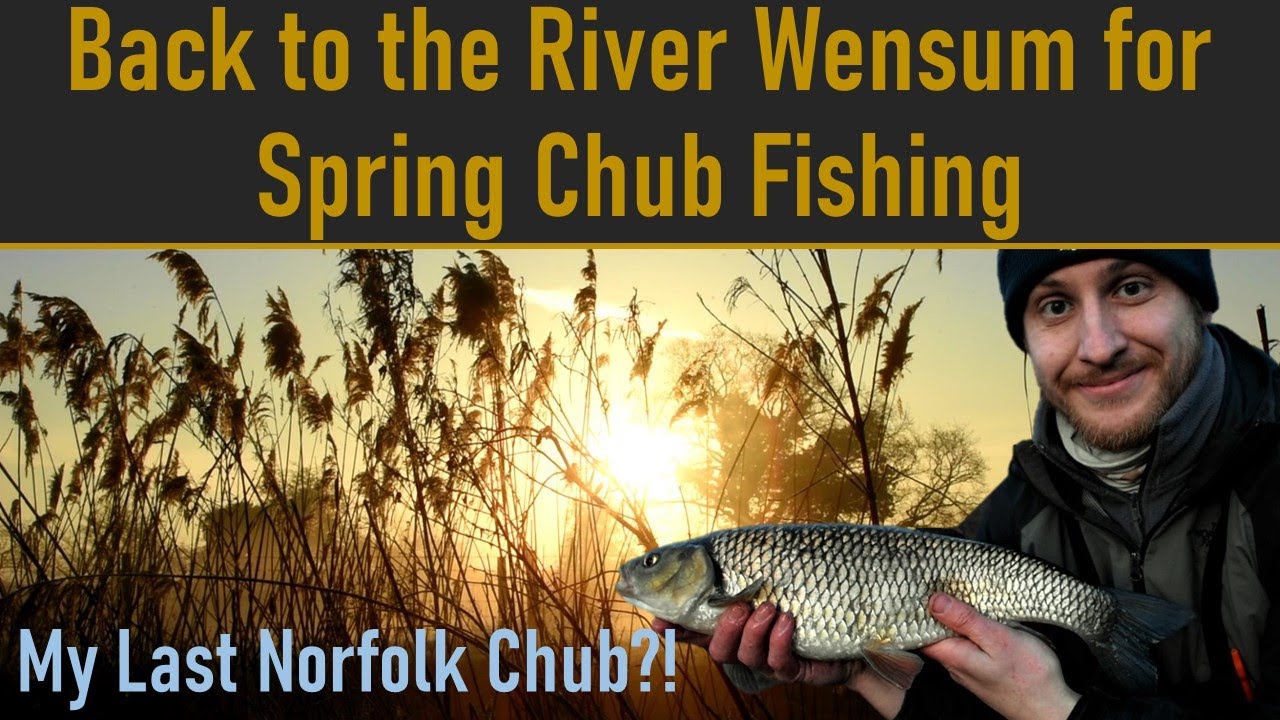 Back to the River Wensum for Spring Chub Fishing: River Foss Fishing - Ep. 39