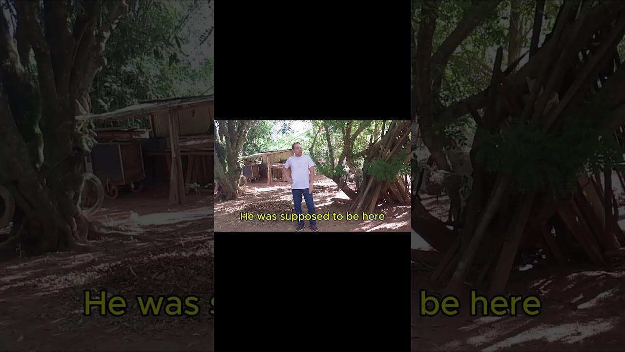 POV Action Short One Briefcase, One Mask, One Terrible Decision