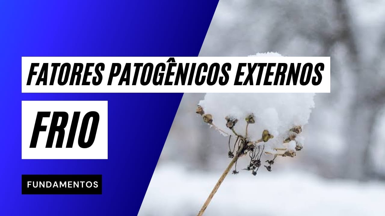 Fatores Patogênicos Externos: FRIO