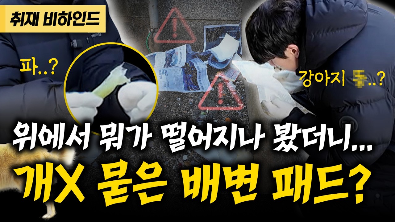 위에서 뭐가 떨어지나 봤더니 대파에 달걀 껍데기, 개X 묻은 배변 패드?![현장카메라 썰]