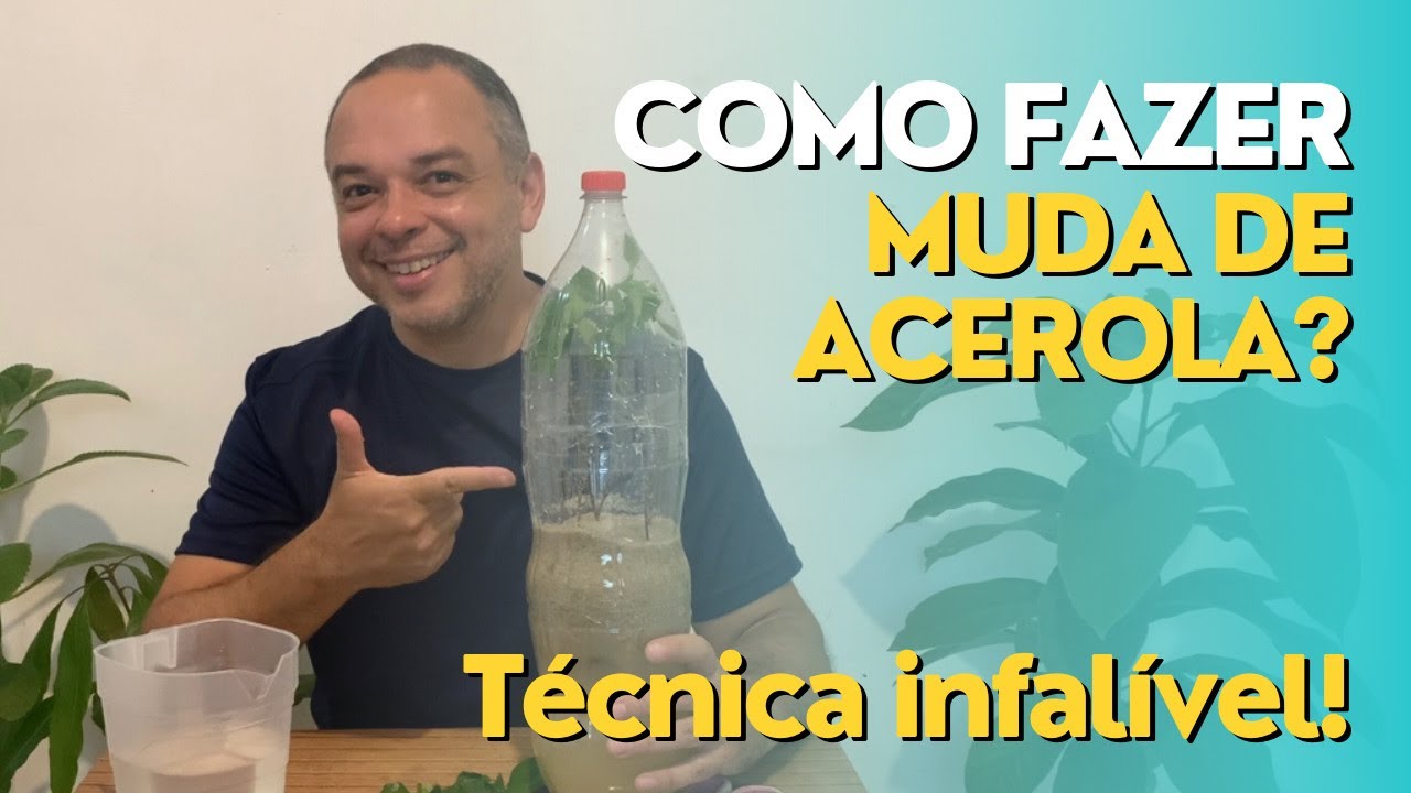 FAÇA MUDA DE ACEROLA OU QUALQUER FRUTÍFERA COM GALHO (Estaquia) - SUPER FÁCIL #hortaorgânica
