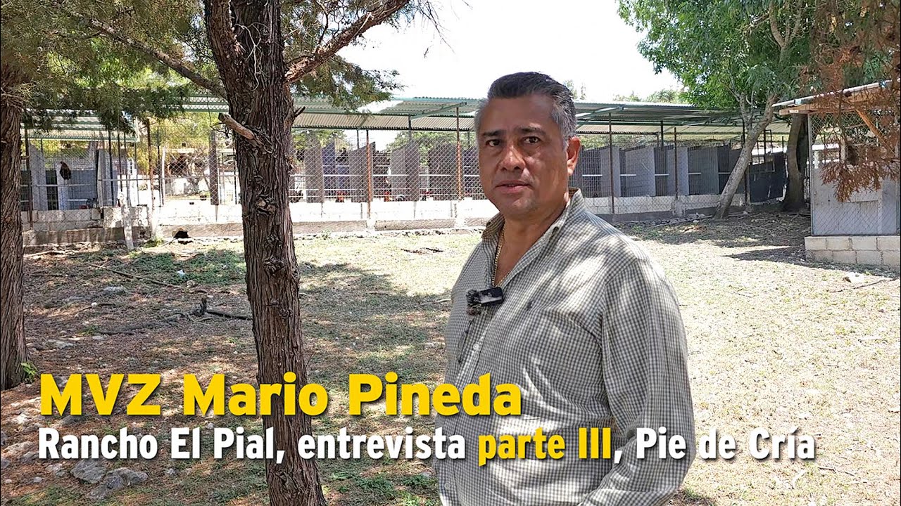 MVZ Mario Pineda, Rancho El Rancho El Pial , entrevista parte III, Pie de Cría
