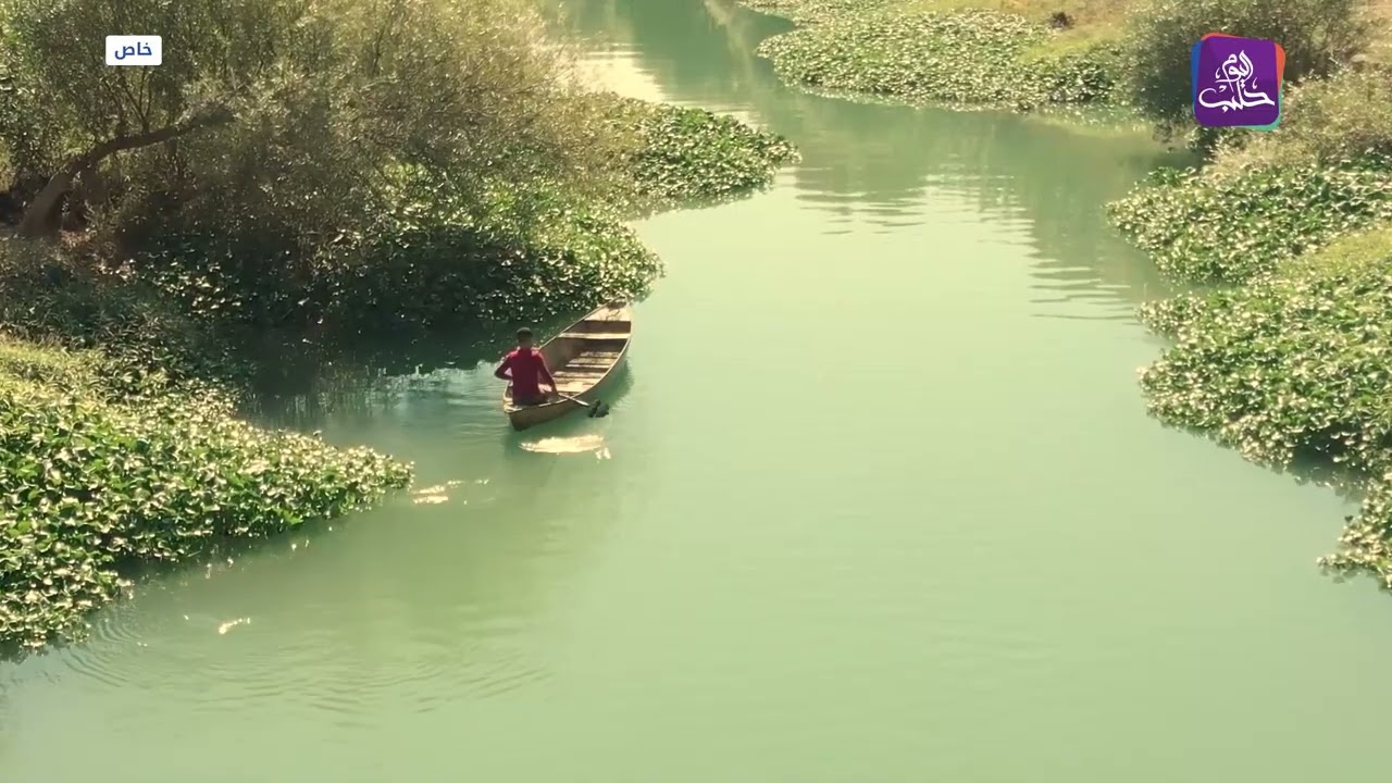 رغم جمالها.. نبتة زهرة النيل آفة تهدد نهر العاصي بريف إدلب