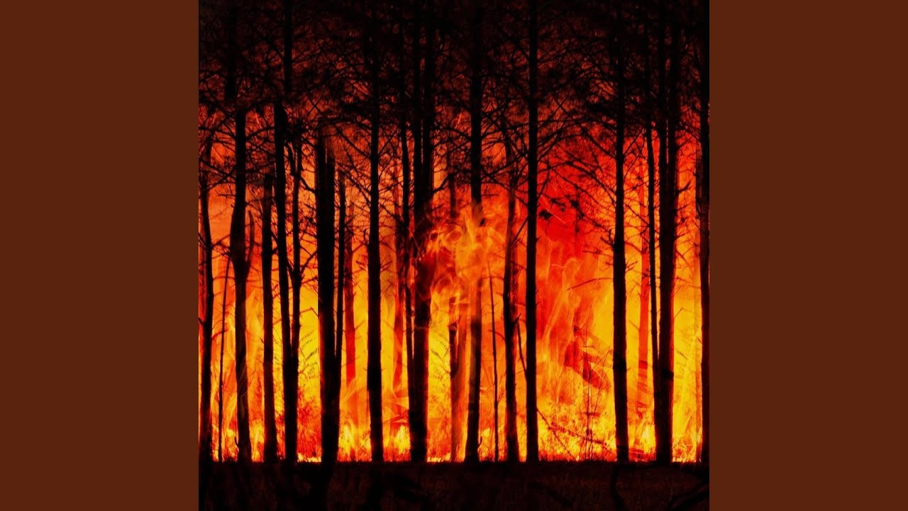Arde Pădurea (feat. Frate Gheorghe)