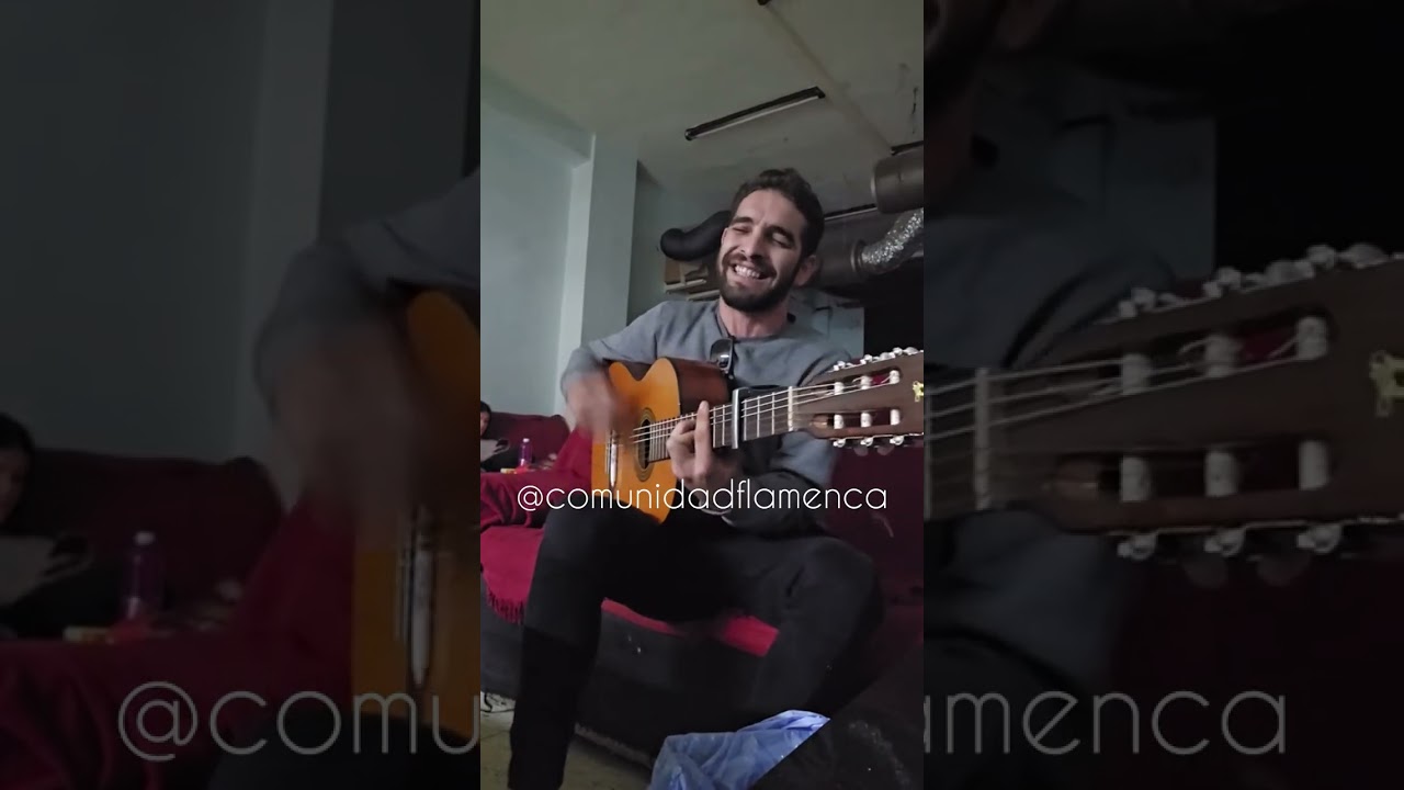 Chino del Bohio EN DIRECTO 2024