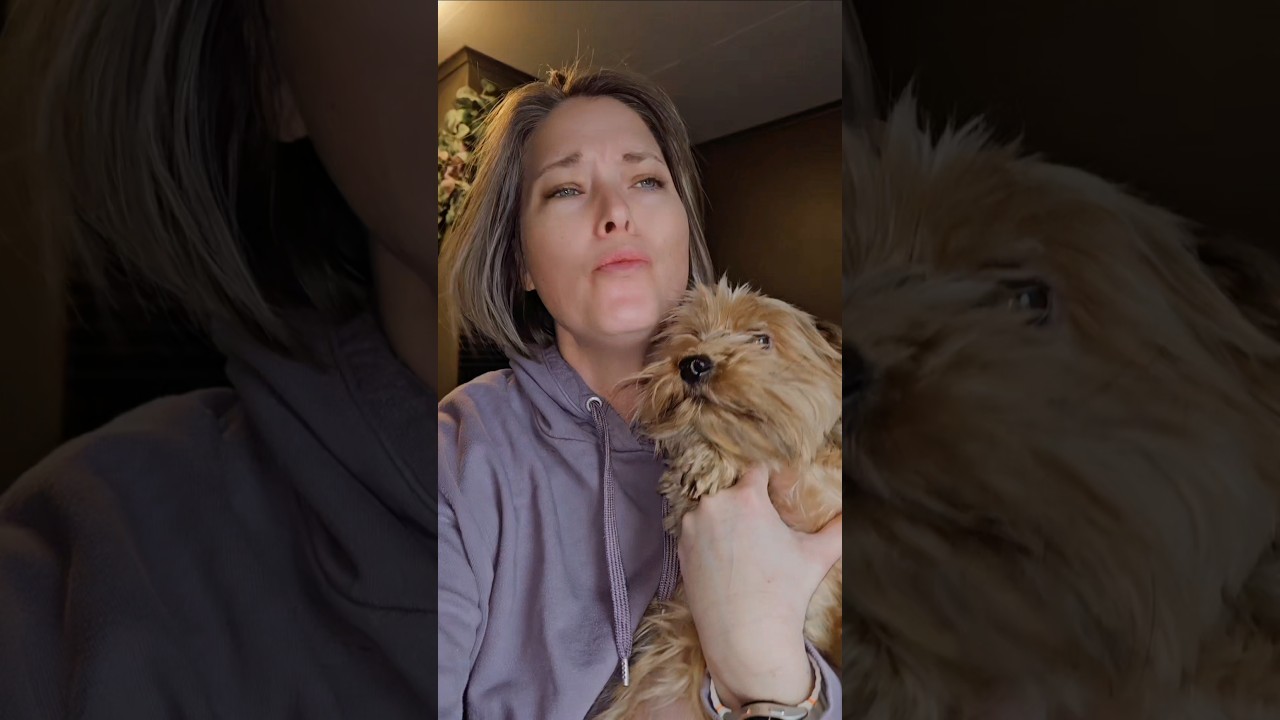God Polly, you're so mean! #relatablecontent #dogsofyoutube #relatable