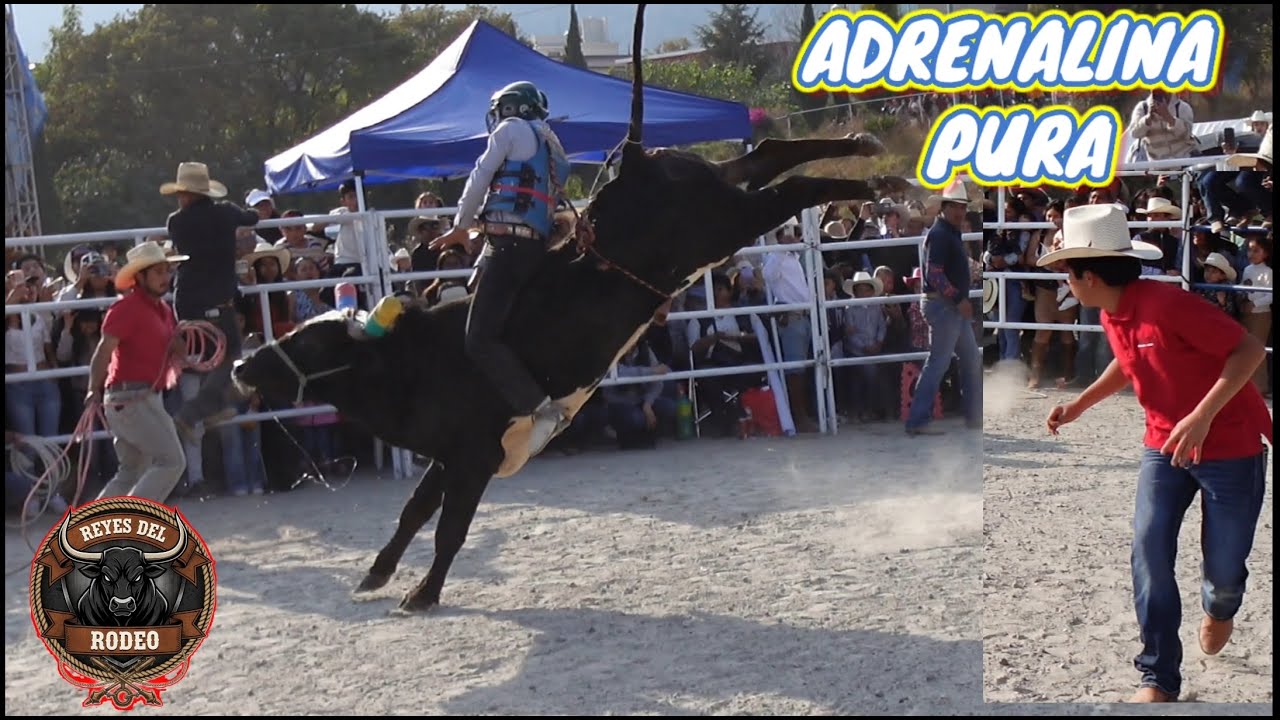 😳 Toro LANZA al JINETE por los AIRES 😱 #jaripeodeleyendas  #toros #rodeo #caballos #jaripeo2026