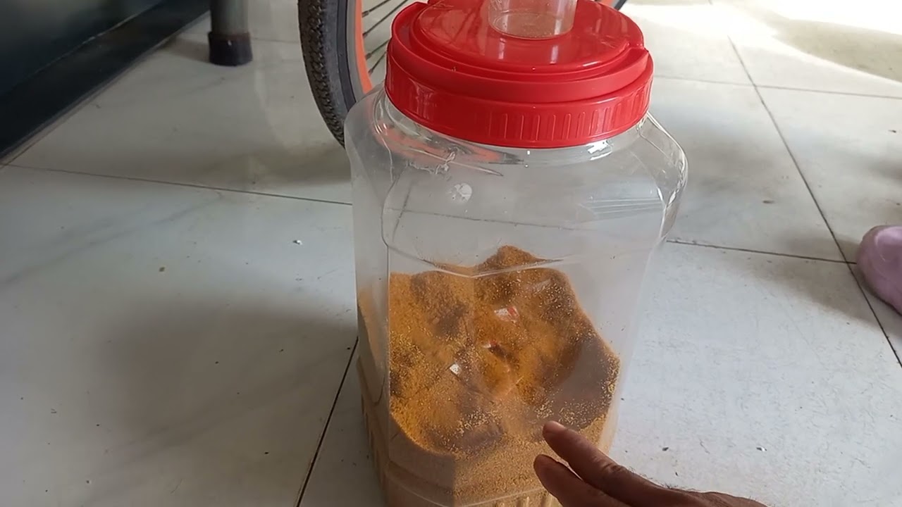 Cám chuyên dùng cho Dòng Chim Ăn Sâu, Có cho Dòng Chim Ăn Trái cây được hay là Không.