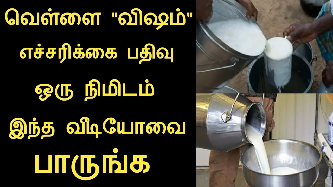 வெள்ளை 