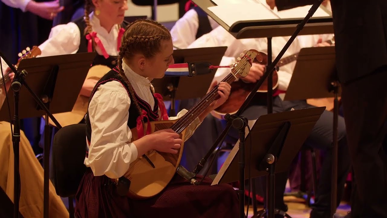 48. MFUTG Tamburaški orkestar KUD-a Branimir Nin CAPRICCIO CROMATICO - Jurica Hrenić