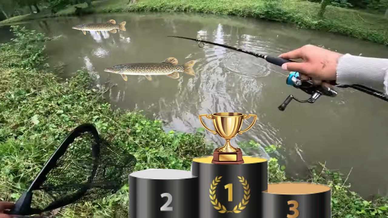 Compétition de pêche aux carnassier à MAINTENON-PIERRE ! Podium ??