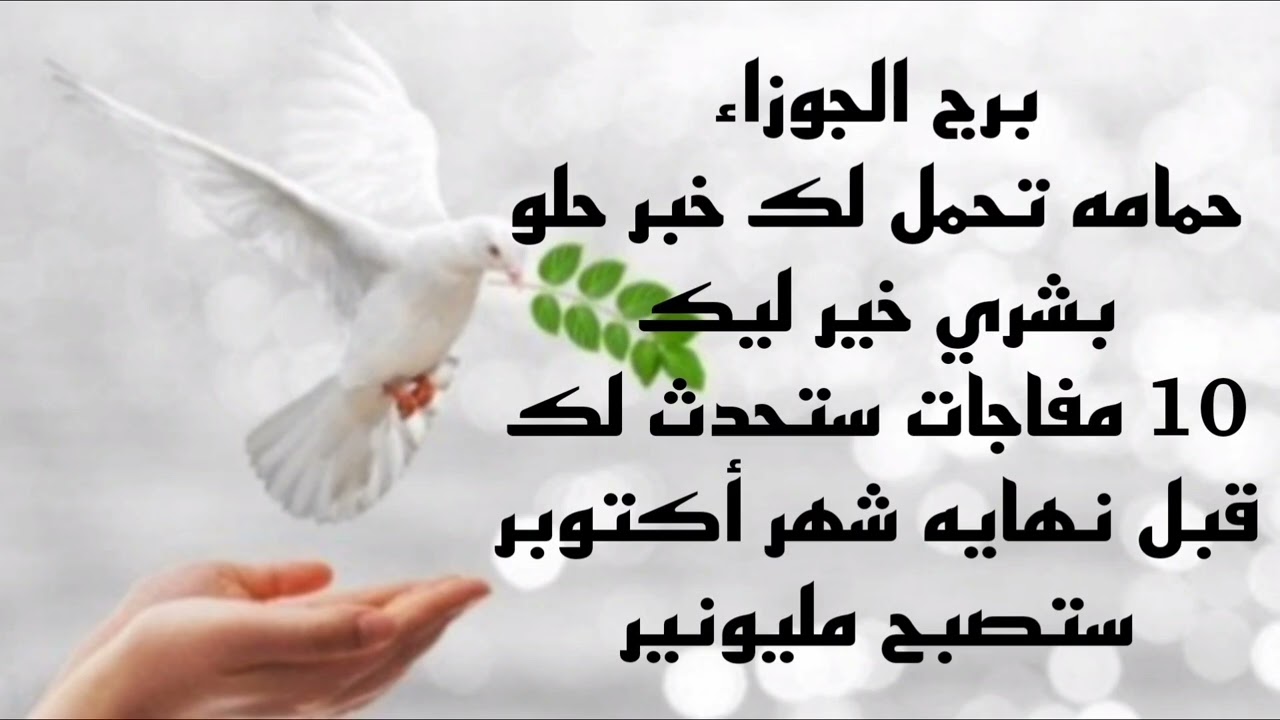 برج الجوزاء حمامه تحمل لك خبر حلو 💫 بشري خير ليك 🥳 10 مفاجات ستحدث لك قبل نهايه شهر أكتوبر