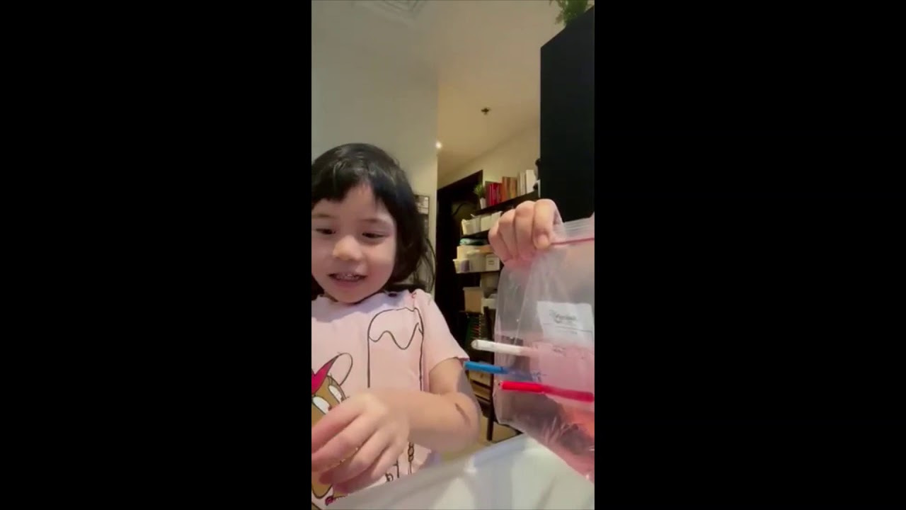 Easy DIY Leak Proof Bag Science Experiment for Kids at Home