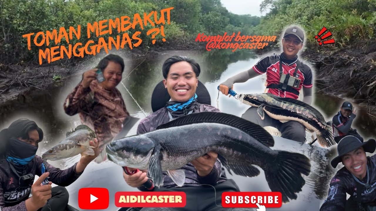PERSONAL RECORD TOMAN MEGA 11LB SUNGAI MEMBAKUT SABAH !!!