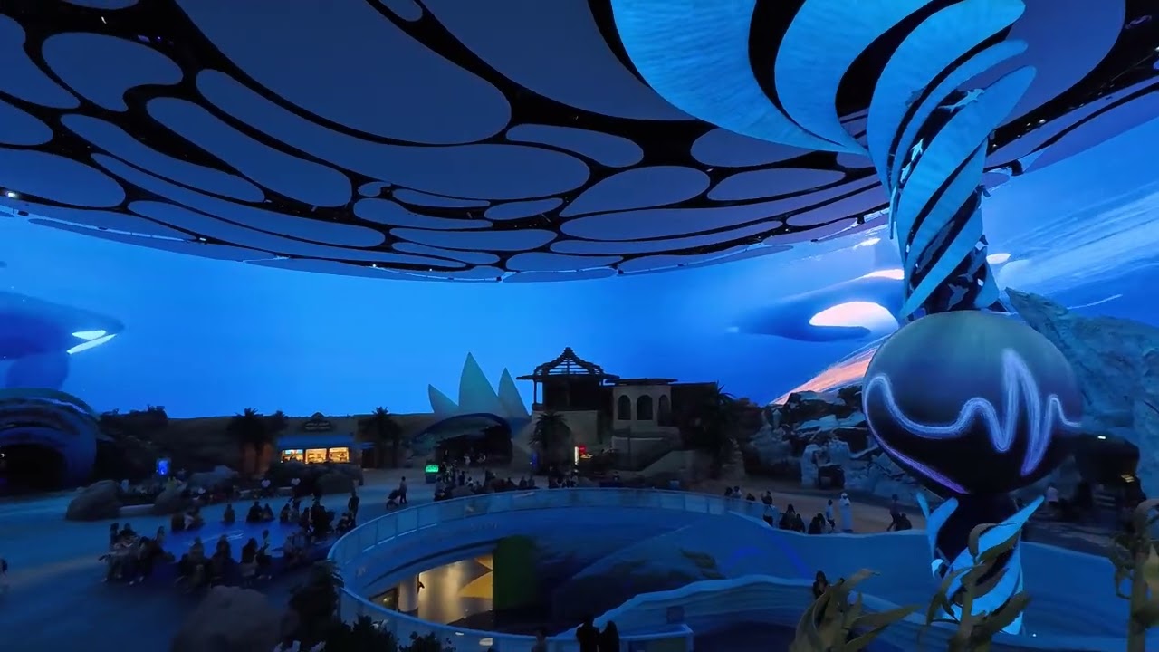 Fantastic show!!! Sea World Park, Abu Dhabi 🇦🇪