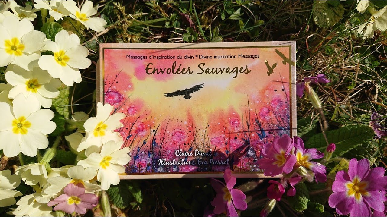 💐 Envolées Sauvages, messages d'inspiration du divin - Claire Duval (review, vidéo)