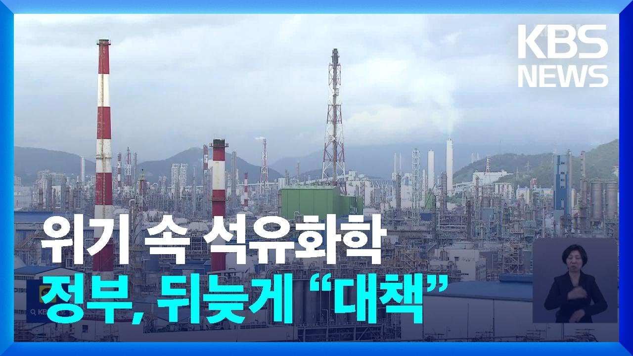 환율·공급 과잉에 가동 중단…‘겹악재’ 석유화학 탈출구 찾나 / KBS  2024.12.24.