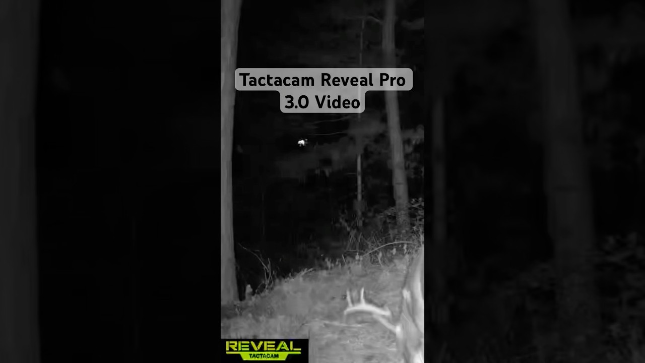 Tactacam Reveal Pro 3.0 Cell Camera Video Download Quality #reveal