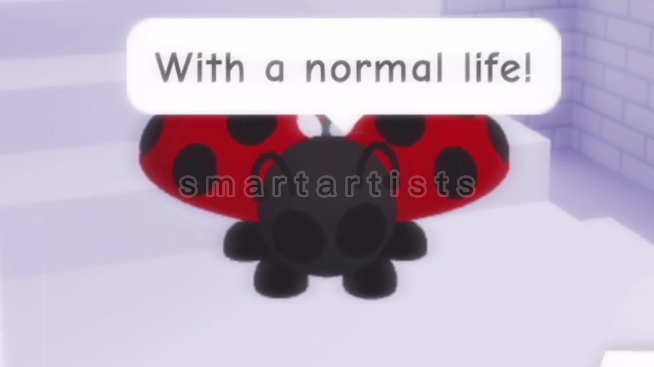 miraculous ladybug in adopt me