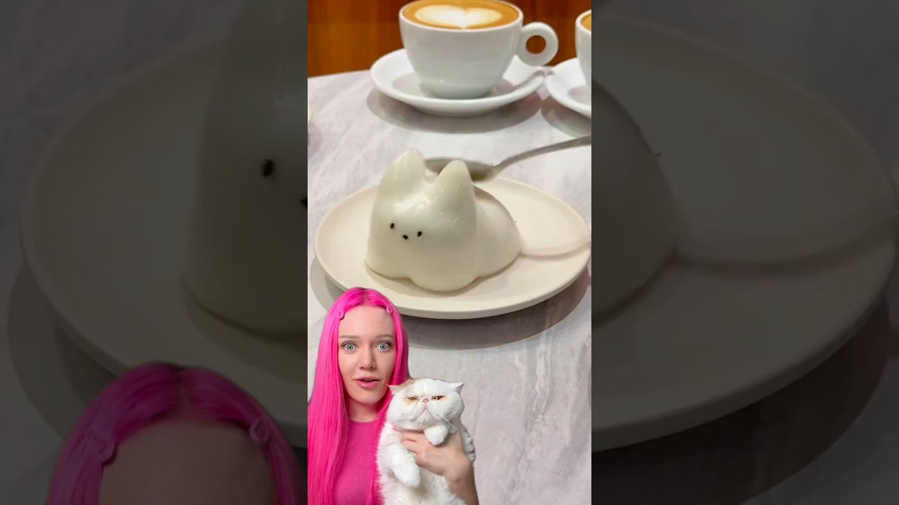 готую КОТОПУДИНГ🙉 цікаво чи вийде) 